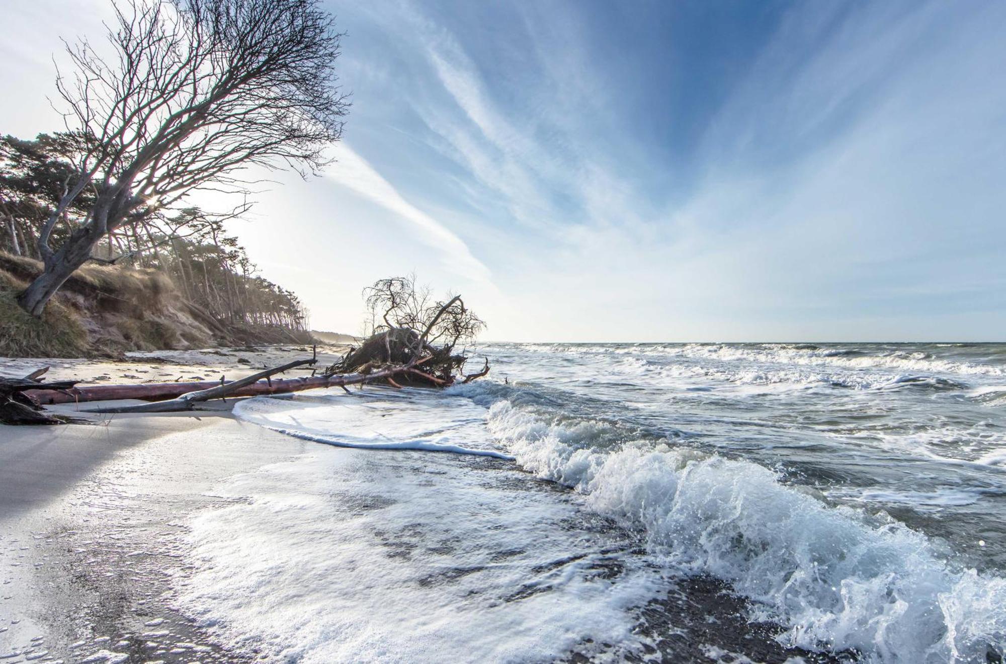 Kranichtanz an der Seebrücke Zingst Exterior foto